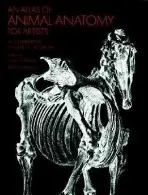 An Atlas of Animal Anatomy for Artists - W. Ellenberger