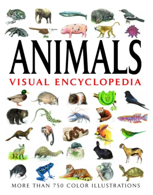 Animals Visual Encyclopedia - Jackson, Tom