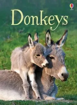 Donkeys - James Maclaine