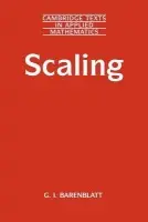 Scaling - Barenblatt, Grigory Isaakovich (University of California, Berkeley)