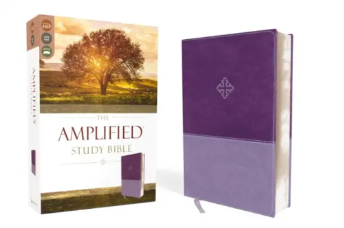 Amplified Study Bible, Leathersoft, Purple - Zondervan