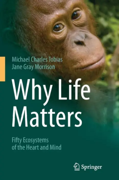 Why Life Matters - Tobias, Michael Charles a Morrison, Jane Gray