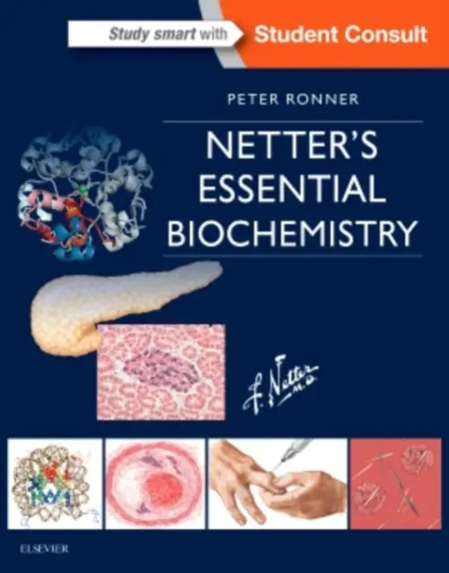 Netter's Essential Biochemistry - Ronner, Peter (Professor of Biochemistry and Molecular Biology, Professor of Pharmaceutical Sciences, Department of Biochemistry and Molecular Biology, Thomas Jefferson University, Philadelphia, Pennsylvania)