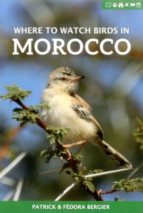 Where to Watch Birds in Morocco - Bergier, Patrick a Bergier, Fedora