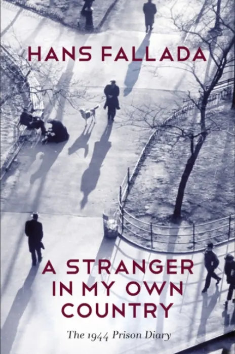 Stranger in My Own Country - Fallada, Hans