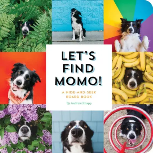 Let´s Find Momo! - Andrew Knapp