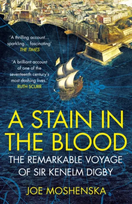 Stain in the Blood - Moshenska, Joe