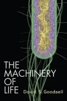 Machinery of Life - Goodsell, David S.