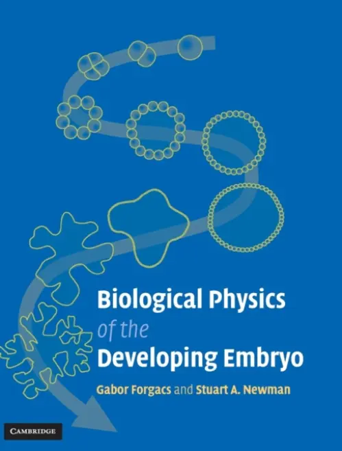 Biological Physics of the Developing Embryo - Forgacs, Gabor (University of Missouri, Columbia) a Newman, Stuart A. (New York Medical College)