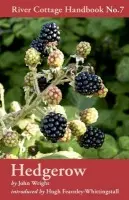 Hedgerow - Wright, John