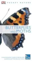 Butterflies and Moths - DK
