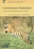 Carnivoran Evolution