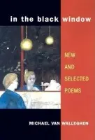 In the Black Window - Van Walleghen, Michael