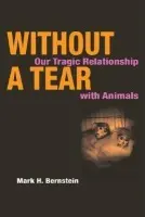 Without a Tear - Bernstein, Mark H.