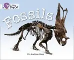 Fossils - Andrew Gross