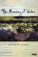 Meaning of Water - Strang, Veronica