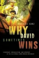 Why David Sometimes Wins - Ganz, Marshall (Lecturer in Public Policy, Kennedy School of Government, Lecturer in Public Policy, Kennedy School of Government, Harvard University)