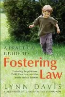 Practical Guide to Fostering Law - Davis, Lynn