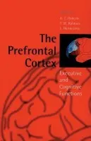 Prefrontal Cortex