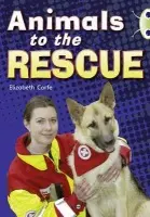 Bug Club Guided Non Fiction Year 2 Gold B Animals to the Rescue - Elizabeth Corfe