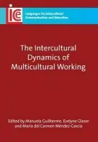 Intercultural Dynamics of Multicultural Working