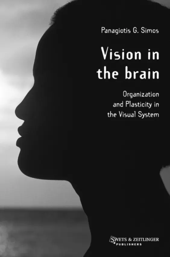 Vision in the Brain - Simos, P.G.
