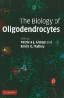 Biology of Oligodendrocytes