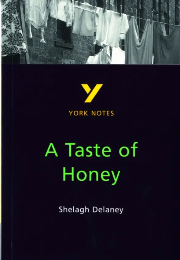 Taste of Honey York Notes GCSE English Literature Study Guide - for 2026, 2027 exams - Dyer, Bernadette