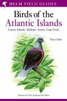 Field Guide to the Birds of the Atlantic Islands - Clarke, Tony