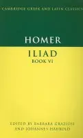 Homer: Iliad Book VI