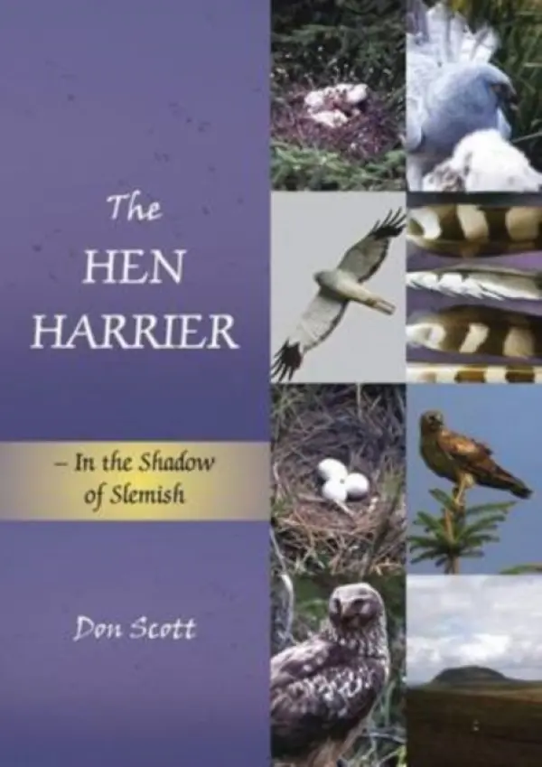 Hen Harrier - Scott, Don