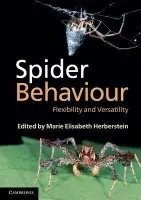 Spider Behaviour