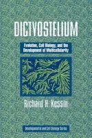 Dictyostelium - Kessin, Richard H. (Columbia University, New York)