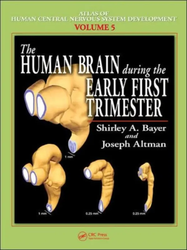 Human Brain During the Early First Trimester - Bayer, Shirley A. a Altman, Joseph