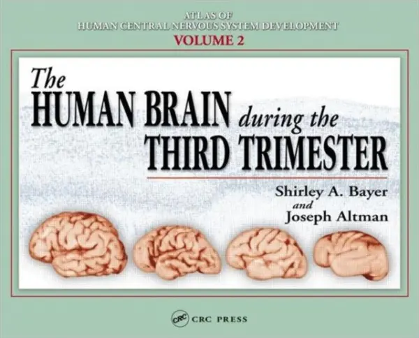 Human Brain During the Third Trimester - Bayer, Shirley A. (Indianapolis, Indiana, USA) a Altman, Joseph (Indianapolis, Indiana, USA)