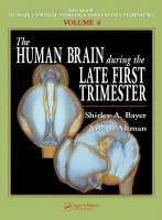 Human Brain During the Late First Trimester - Bayer, Shirley A. a Altman, Joseph