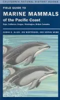 Field Guide to Marine Mammals of the Pacific Coast - Allen, Sarah G. a Mortenson, Joe a Webb, Sophie