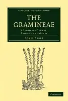 Gramineae - Arber, Agnes