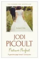 Picture Perfect - Jodi Picoultová