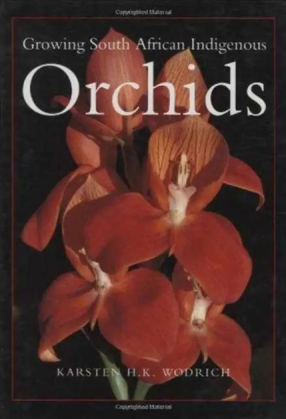 Growing South African Indigenous Orchids - Wodrich, Karsten