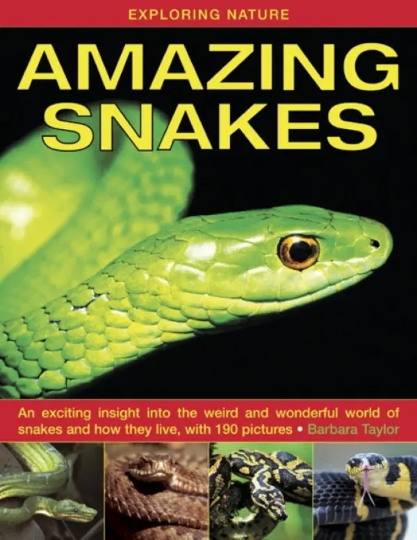 Exploring Nature: Amazing Snakes - Taylor, Barbara