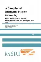 Sampler of Riemann-Finsler Geometry