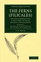 Ferns (Filicales): Volume 1, Analytical Examination of the Criteria of Comparison - Bower, F. O.