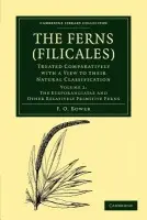 Ferns (Filicales): Volume 2, The Eusporangiatae and Other Relatively Primitive Ferns - Bower, F. O.