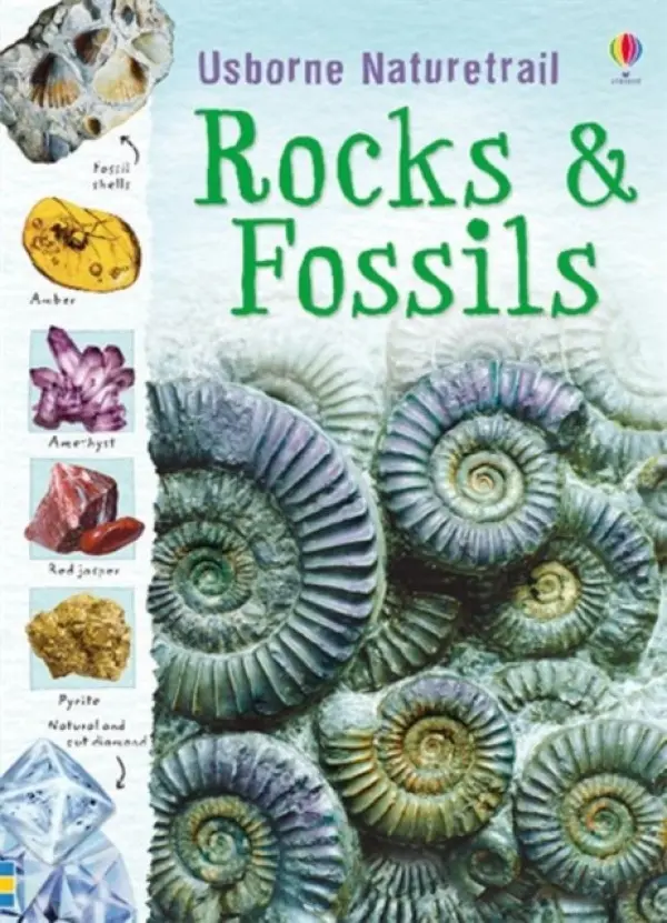 Rocks and Fossils - Reid, Struan