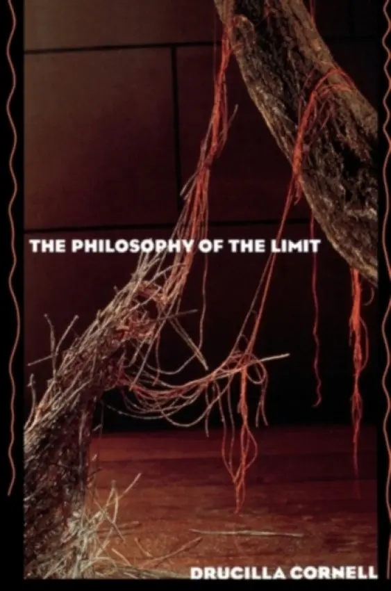 Philosophy of the Limit - Cornell, ucilla
