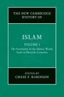 New Cambridge History of Islam