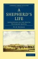 Shepherd's Life - Hudson, William Henry
