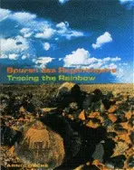 Tracing the Rainbow - Stefan Eisenhofer