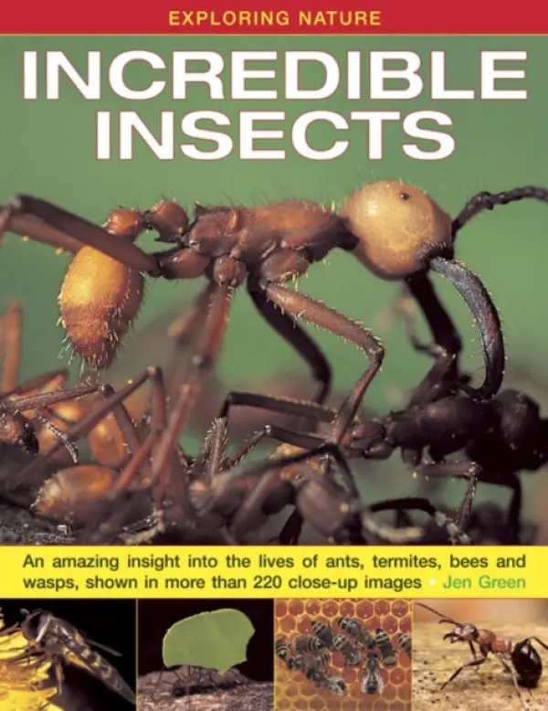 Exploring Nature: Incredible Insects - Green, Dr Jen